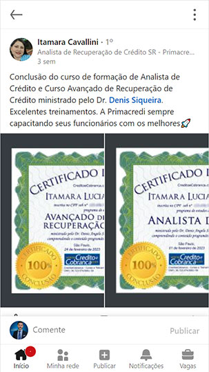 Itamara Lucia Cavallini Pires