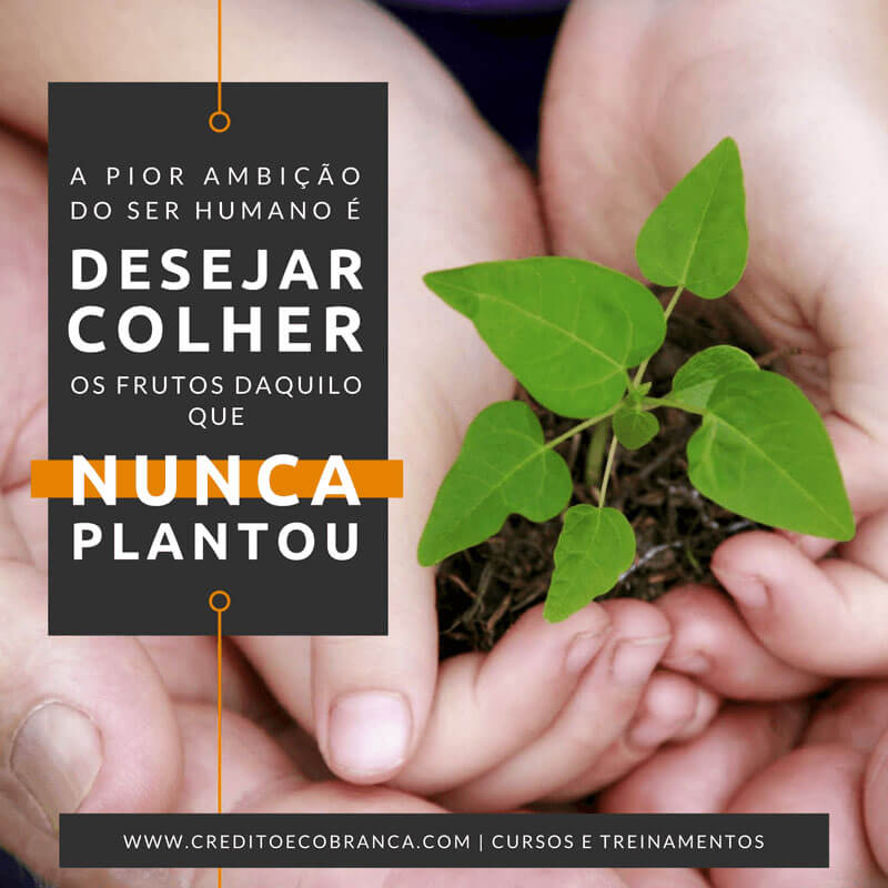 Desejar colher