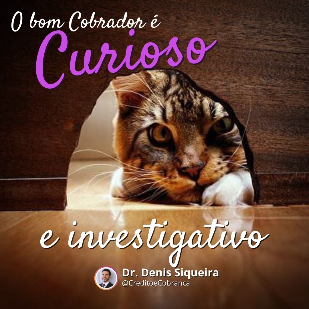 O bom cobrador tem que ser curioso e investigativo