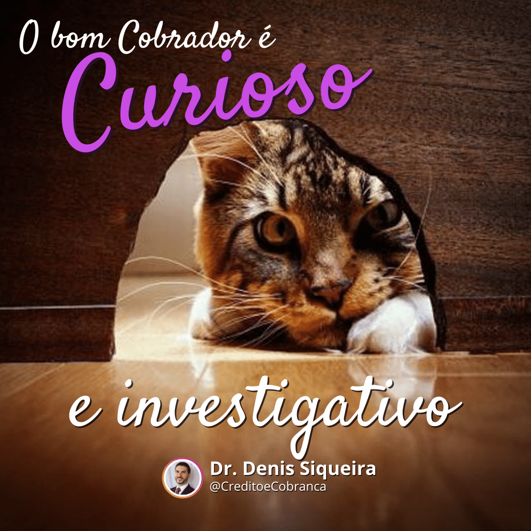 O bom cobrador tem que ser curioso e investigativo